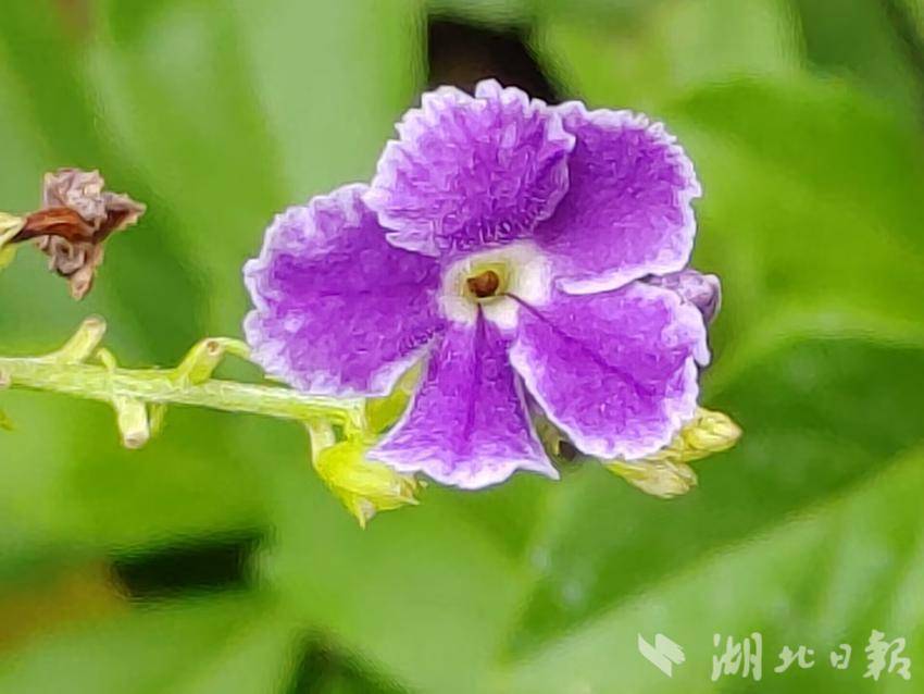 金沙网址